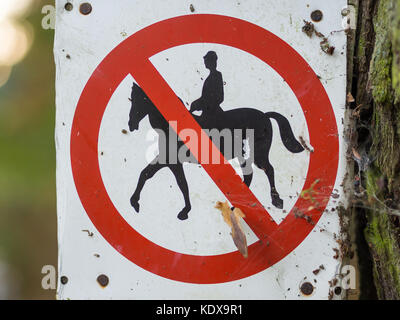 Reiten verboten oder verbotenen Zeichen in den Farben Schwarz, Weiß, Rot in Wald in der Nähe von Berlin, Deutschland Stockfoto