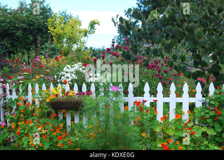 Cottage-Garten Stockfoto
