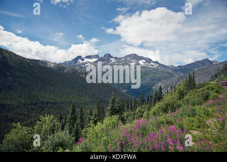 Malerische Landschaft entlang Skagway, Alaska - White Pass und Yukon Route Stockfoto