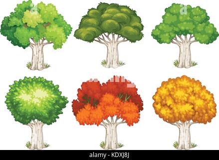 Verschiedene Formen der Bäume Abbildung Stock Vektor