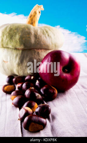 Herbst Früchte über Tabelle: Kastanien, Kürbis und Apfel, Bild vertikal Stockfoto