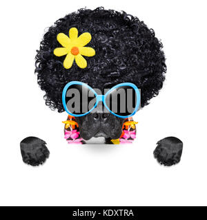 Hippie Hund der 70er Jahre mit großen afro Perücke eine gelbe Blume hinter leeren Banner Stockfoto