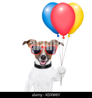 Hund mit Bündel Luftballons und Zuckerwatte und Schattierungen Stockfoto