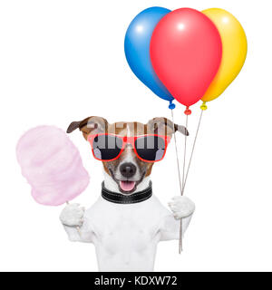 Hund mit Bündel Luftballons und Zuckerwatte und Schattierungen Stockfoto