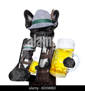 Bayerische Hund eine selfie während eines Bierkrug Stockfoto