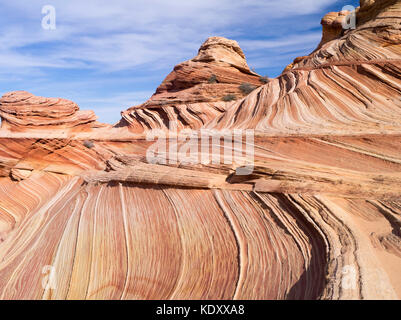 Sandstein Falten im Bereich der Welle, Vermilion Cliffs National Monument, Arizona. Stockfoto