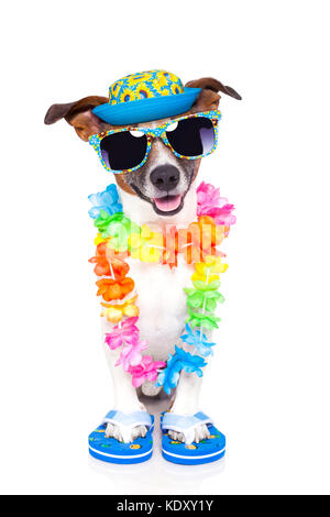 Hund im Urlaub mit Hawaii Lei Stockfoto