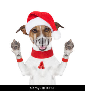 Hallo Auf Wiedersehen hoch fünf Weihnachten Hund mit Pfoten bis Stockfoto