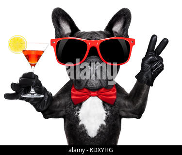 Französische Bulldogge Hund holding Martini Cocktail Glas bereit, Spaß und Party zu haben, auf weißem Hintergrund # Stockfoto