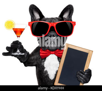 Französische Bulldogge Hund holding Martini Cocktail Glas bereit, Spaß und Party zu haben, eine leere Tafel, auf weißem Hintergrund Stockfoto