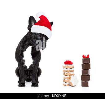 Hungrig französische Bulldogge Hund mit roten weihnachten santa claus hat für Weihnachten Urlaub und ein Geschenk von Cookies oder Leckereien auf weißem Hintergrund Stockfoto