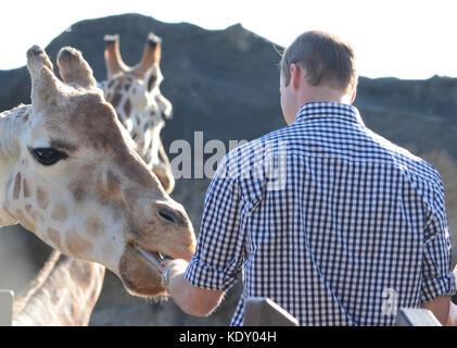 Sydney, AUSTRALIEN - 20. APRIL: Prinz William, Herzog von Cambridge und Catherine, Herzogin von Cambridge im Taronga Zoo am 20. April 2014 in Sydney, Australien. Personen: Prinz William, Herzog von Cambridge und Catherine, Duchess of Cambridge Transmission Ref: MNCUK1 Credit: Hoo-Me.com/MediaPunch ***NO UK*** Stockfoto