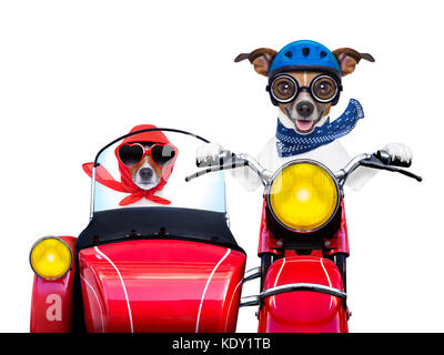 Motorrad Hunde zusammen in Liebe mit einem hiloday Reise Stockfoto