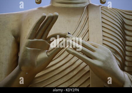 Große Hände von Buddha in Gold mit Vogel auf der Hand Stockfoto