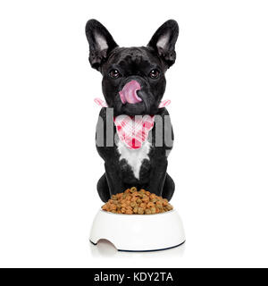 Hungrig französische Bulldogge Hund bereit, Dinner oder Lunch zu essen, hinter Futternapf. Zunge heraus, auf weißem Hintergrund Stockfoto