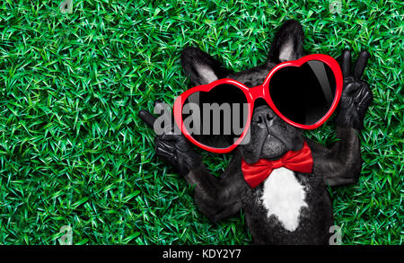 Französische Bulldogge Hund liegend im Gras mit Liebe, Frieden und Harmonie finger, trug ein rotes Herz Form Sonnenbrille Stockfoto