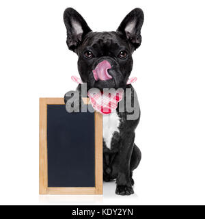 Hungrig französische Bulldogge Hund bereit, Dinner oder Lunch zu essen, eine leere Tafel oder Plakat, Zunge heraus, auf weißem Hintergrund Stockfoto