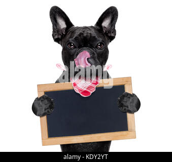 Hungrig französische Bulldogge Hund bereit, Dinner oder Lunch zu essen, Holding leer Banner oder Tafel, die Zunge heraus, auf weißem Hintergrund Stockfoto