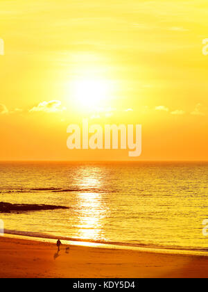 Dawn Hundespaziergang an einem Sandstrand bei niedriger Hitze gegen große Sonne Stockfoto