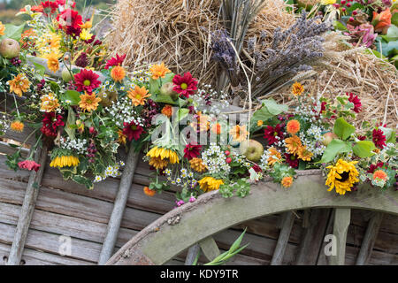 Herbstliche Pferdekutschen Heuwagen Harvest Festival Anzeige an Weald und Downland Open Air Museum, Herbst Landschaft zeigen, Singleton, Sussex, England Stockfoto