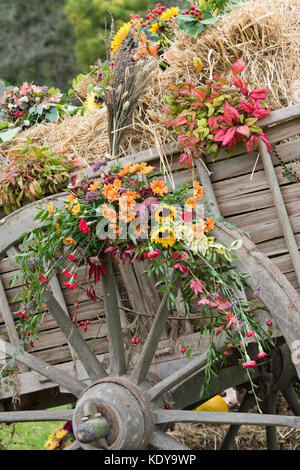 Herbstliche Pferdekutschen Heuwagen Harvest Festival Anzeige an Weald und Downland Open Air Museum, Herbst Landschaft zeigen, Singleton, Sussex, England Stockfoto