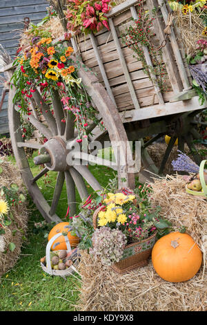 Herbstliche Pferdekutschen Heuwagen Harvest Festival Anzeige an Weald und Downland Open Air Museum, Herbst Landschaft zeigen, Singleton, Sussex, England Stockfoto