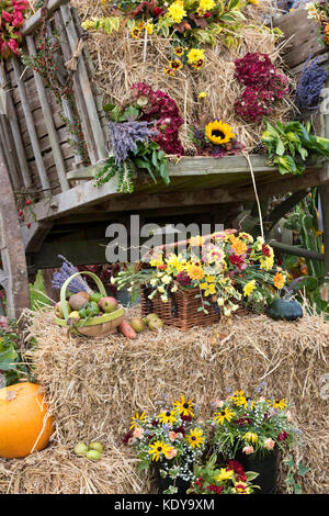 Herbstliche Pferdekutschen Heuwagen Harvest Festival Anzeige an Weald und Downland Open Air Museum, Herbst Landschaft zeigen, Singleton, Sussex, England Stockfoto