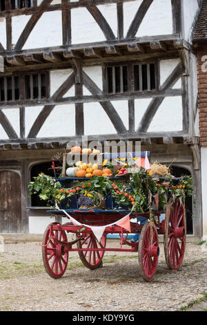 Herbstliche von Pferden gezogene Wagen am Weald und Downland Open Air Museum, Herbst Landschaft zeigen, Singleton, Sussex, England Stockfoto