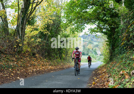 Radfahrer Radfahren durch ein Tunnel der Bäume im Herbst Blick in Upper Slaughter Manor. Upper Slaughter. Cotswolds, Gloucestershire, England Stockfoto