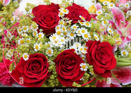 Strauß roter Rosen aus nächster Nähe. Stockfoto