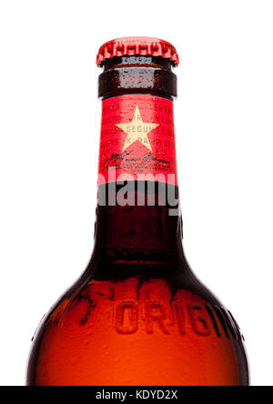 London, UK, 21. März 2017: Flasche Estrella Damm Bier auf weißem Hintergrund mit Reflexion, Estrella Damm ist ein Pilsner Bier, gebraut in Barcelona. Stockfoto