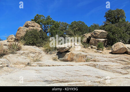 Windy Point Vista auf Mt. Lemmon Stockfoto