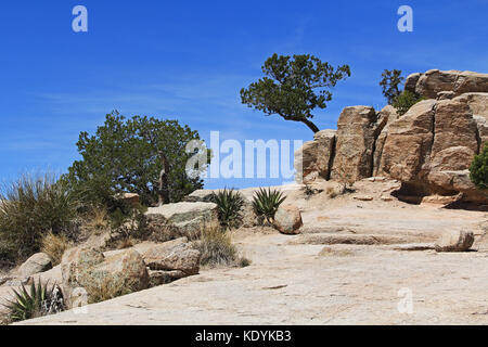 Windy Point Vista auf Mt. Lemmon Stockfoto