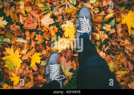 Junge Mann in Turnschuhen auf dem Boden mit Herbstlaub, Ansicht von oben, ungewöhnliche Perspektive Stockfoto