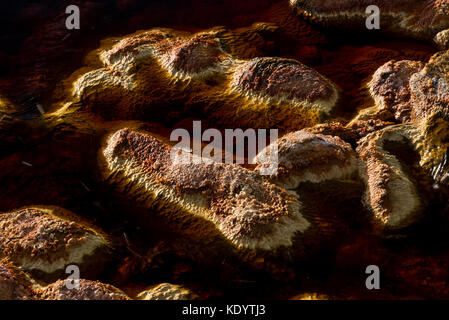 Rio Tinto, den Fluss seit Jahrhunderten für Kupfer, Silber, Gold und anderen Mineralien, Rio Tinto Minen abgebaut wurde, Provinz Huelva, Andalusien, Spanien Stockfoto