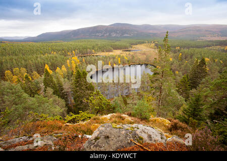 Blick von farleitter Crag über die wunderschöne Landschaft und uath Cairngorm lochan oder uath Lochans mit Glen feshie im Mittelgrund, Schottland Stockfoto