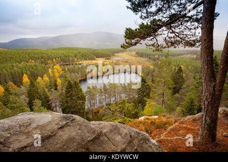 Blick von farleitter Crag über die wunderschöne Landschaft und uath Cairngorm lochan oder uath Lochans mit Glen feshie im Mittelgrund, Schottland Stockfoto