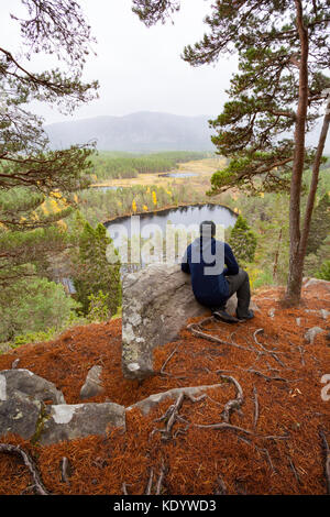 Blick von farleitter Crag über die wunderschöne Landschaft und uath Cairngorm lochan oder uath Lochans mit Glen feshie im Mittelgrund, Schottland Stockfoto