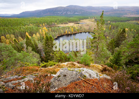 Blick von farleitter Crag über die wunderschöne Landschaft und uath Cairngorm lochan oder uath Lochans mit Glen feshie im Mittelgrund, Schottland Stockfoto