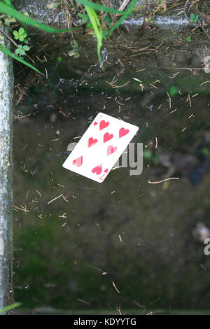 Die Karten auf der Straße Stockfoto