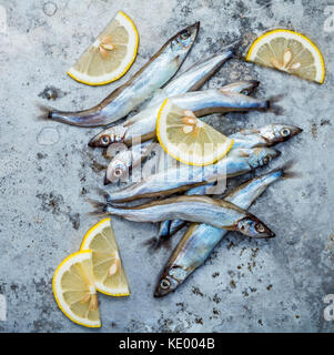 Frische Fische fangen Shishamo voll Eier flach auf schäbige Metall Hintergrund. Shishamo Fisch ist Fisch für die japanische Küche kochen Tempura. Frische Sh Stockfoto