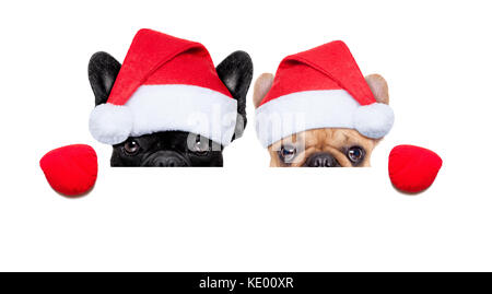 Santa Claus Weihnachten Paar zwei Hunde einen Hut tragen, hinter einem leeren weißen Plakat, auf weißem Hintergrund Stockfoto