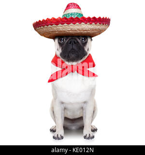 Mexikanische Hund mit grossen sombrero Hut und rote Krawatte Stockfoto