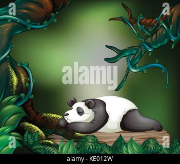 Panda schlafen im dunklen Wald Illustration Stock Vektor