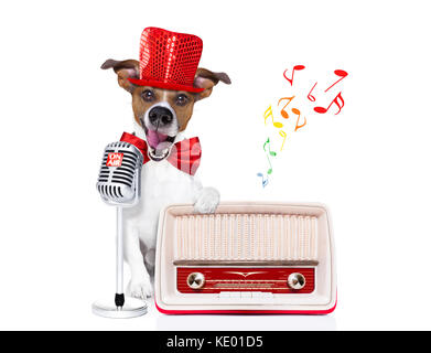 Jack Russell Hund, Singen karaoke Song oder lesen die Nachrichten mit einem retro Mic oder Mikrofon, hinter Retro Radio recorder, isoliert auf weißem backgro Stockfoto