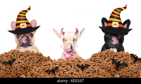 Zeile und Gruppe von Halloween hungrige Hunde vor der Wand, auf weißem Hintergrund, und leckte mit der Zunge Stockfoto
