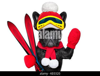 Französische Bulldogge Hund mit Skiausrüstung, das Tragen von Schutzbrille, Handschuhe, einen Hut und ein roter Schal, auf weißem Hintergrund Stockfoto