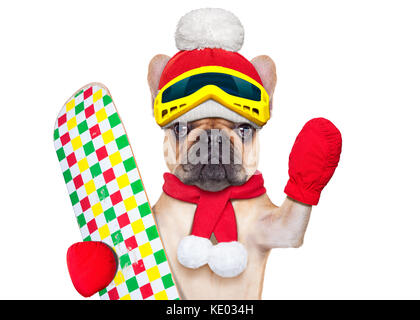 Fawn französische Bulldogge Hund mit Skiausrüstung, das Tragen von Schutzbrille, Handschuhe, einen Hut und ein roter Schal, auf weißem Hintergrund Stockfoto