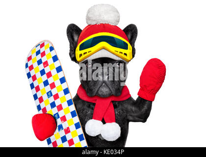 Französische Bulldogge Hund mit Skiausrüstung, das Tragen von Schutzbrille, Handschuhe, einen Hut und ein roter Schal, auf weißem Hintergrund Stockfoto