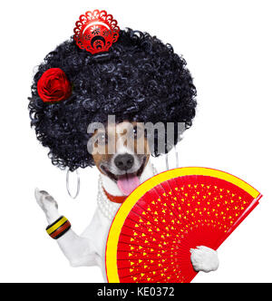 Spanische Flamenco Hund mit sehr grossen lockiges Haar und hand Ventilator Stockfoto